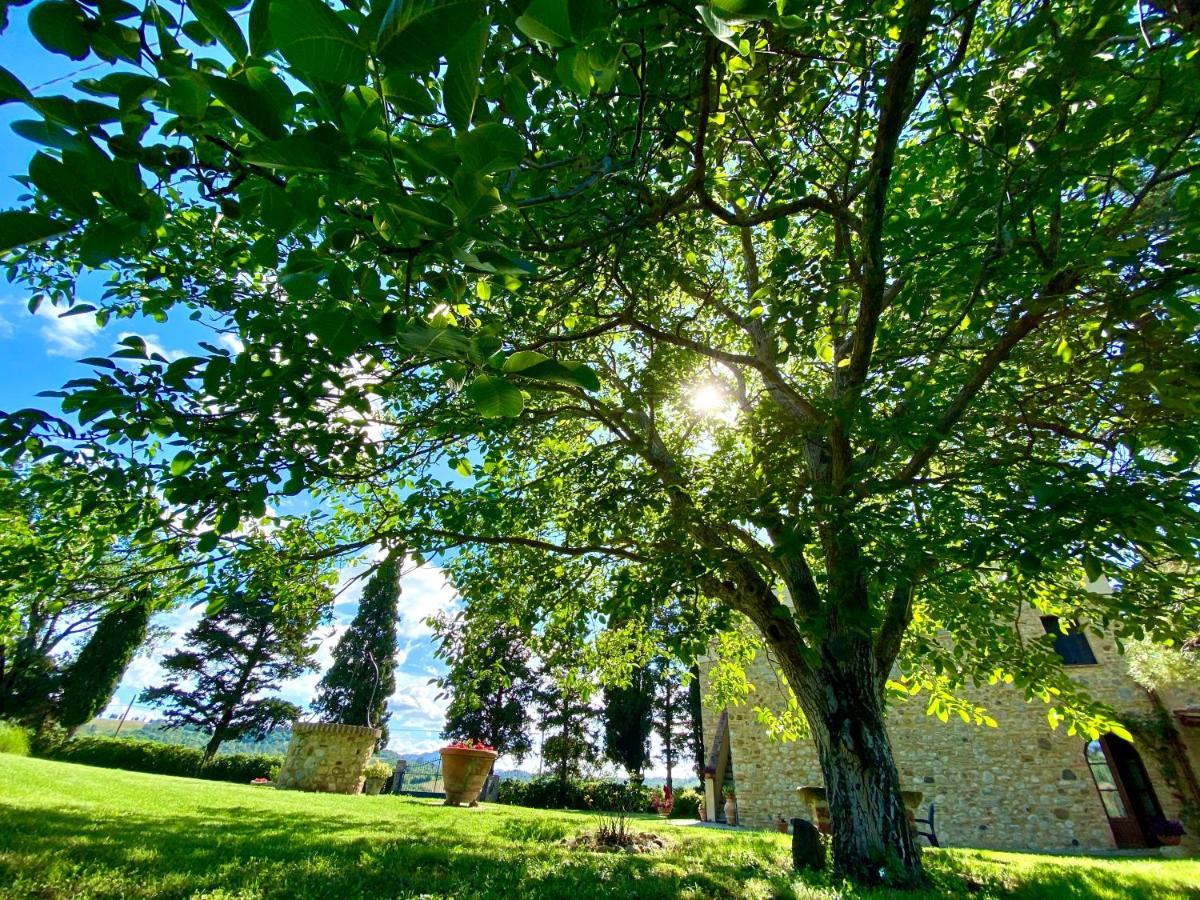 Agriturismo L'Antica Quercia Pomarance Exterior photo
